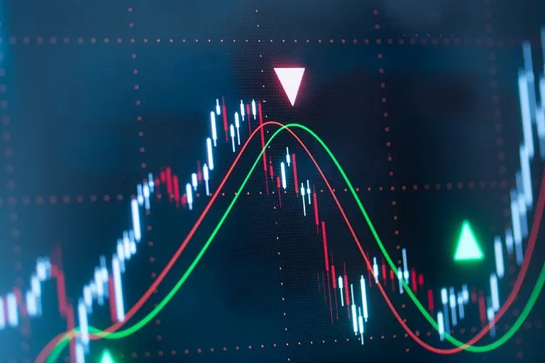 Value versus Growth: What Drives the Value Premium