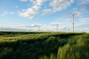 Looking to switch? Compare green business energy suppliers