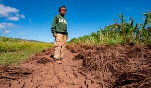 Hawaii’s worst flooding in 20 years leaves farmers struggling and fewer veggies at the market