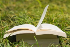 Why coaches, consultants, and speakers should think like publishers before writing a book » Succeed As Your Own Boss