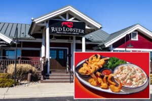 Red Lobster’s disastrous ‘Endless Shrimp’ deal was owner’s scheme to squeeze profits: lawsuit