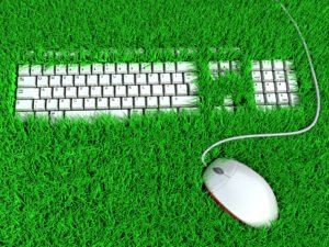 4 ways small businesses can become more environmentally friendly