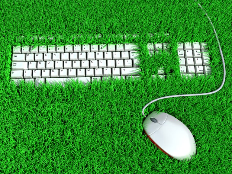4 ways small businesses can become more environmentally friendly