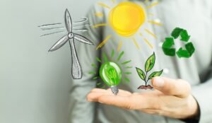 Where to find green small business grants