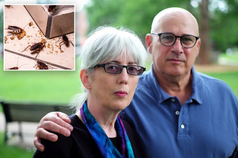 eBay agreed to pay nearly $50 million to couple sent cockroaches, bloody pig mask
