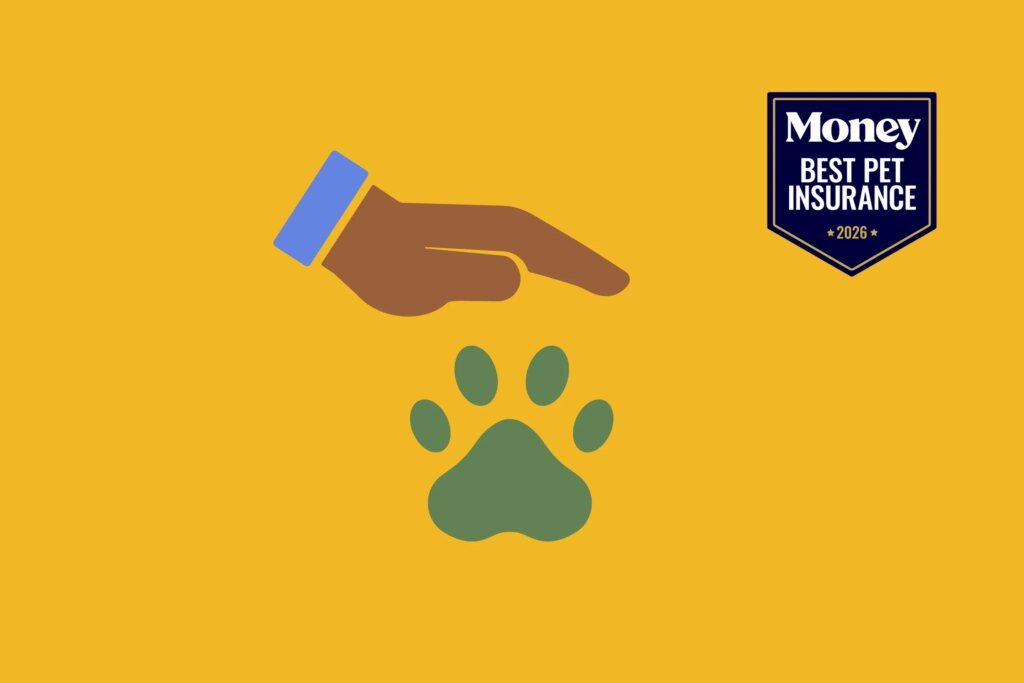 9 Best Pet Insurance Companies of July 2026