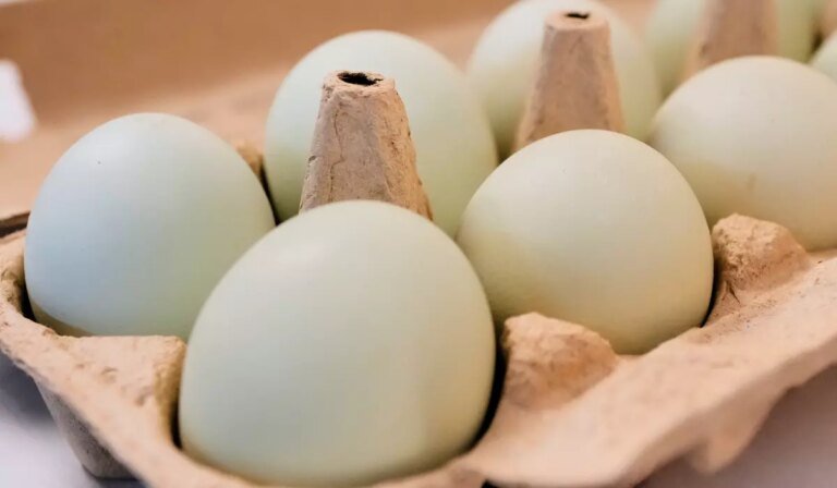 Egg producers will pay $3.3 million, donate 53 million eggs to settle price-fixing claims