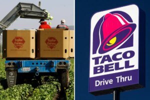 Taco Bell faces first lawsuits over diarrhea-causing contaminated lettuce