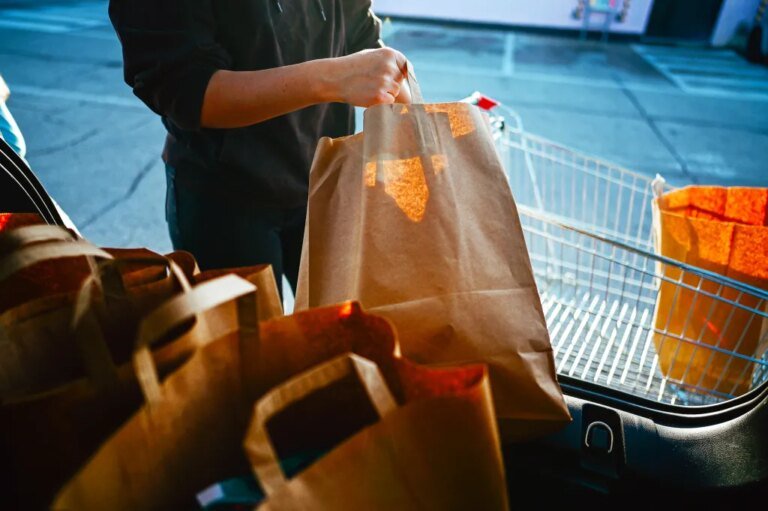 No, a paper bag is not “sustainable.” Here is the math to prove it
