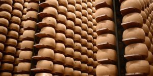 Climate change is threatening Italy’s cheese banks that hold Parmigiano wheels as loan collateral