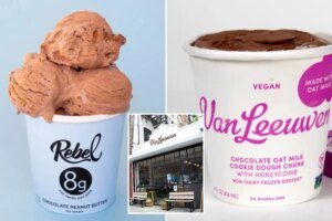 Rebel Creamery files for bankruptcy after losing $23.8M Van Leeuwen Ice Cream packaging battle