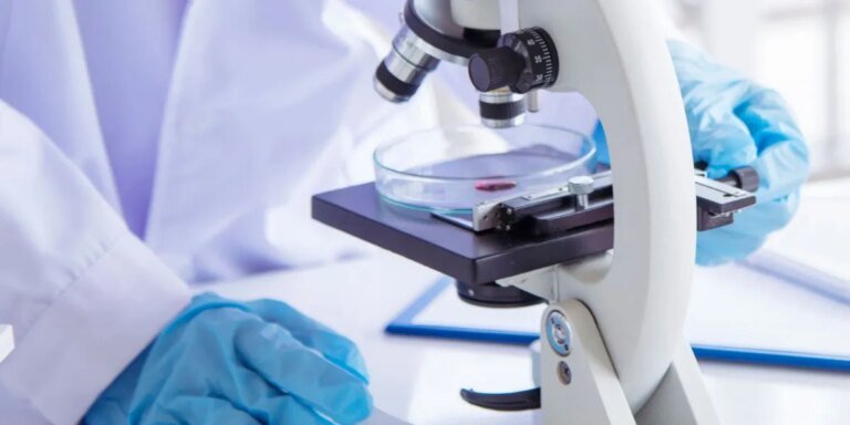 Oncology Stocks: 8 Biggest NASDAQ Companies in 2026