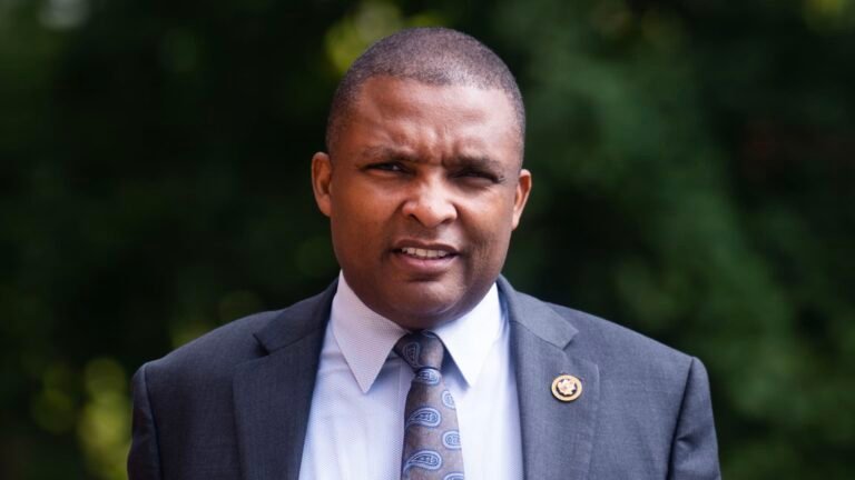 House Democrat wants to ban candidates from trading on their own race