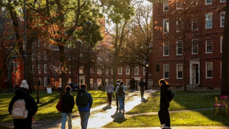 Harvard’s endowment jumps 27% with SpaceX as top holding