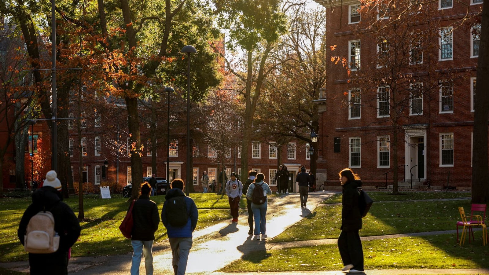 Harvard’s endowment jumps 27% with SpaceX as top holding