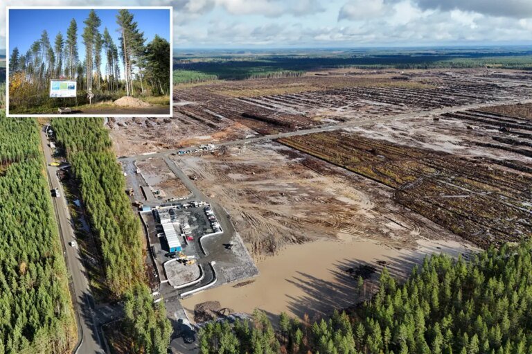 Google illegally tore down 250K trees for Finland data center, infuriating locals: report