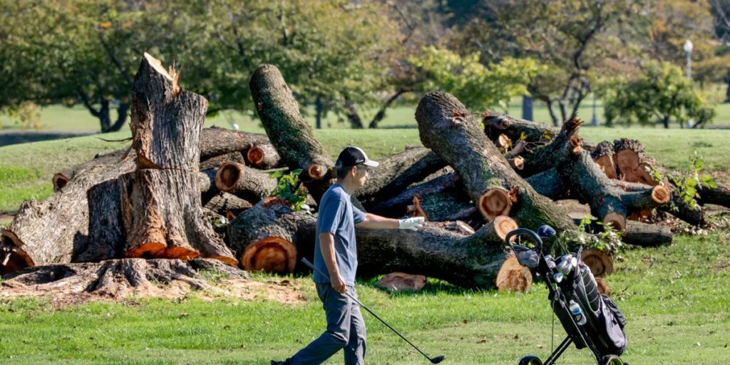 Trump to close DC golf course for renovations citing ‘disease infested trees’ despite order to halt
