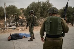 Israeli settlers attack Palestinians during olive harvest, and other Middle East developments