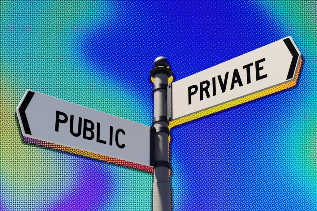 Do Private Companies Have an Advantage Over Public Rivals?